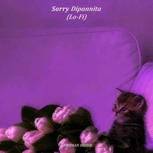 Sorry Dipannita (Lo-Fi Version) cover art