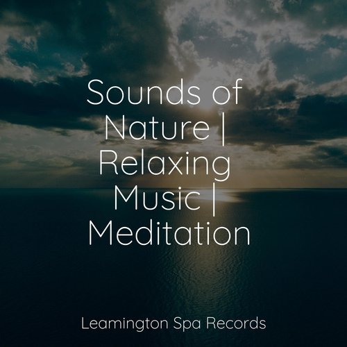 Sounds of Nature | Relaxing Music | Meditation