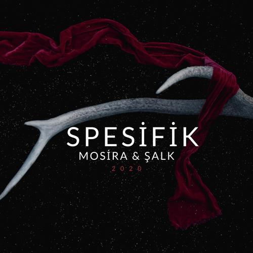 Spesifik (feat. Şalk)_poster_image