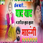 Ton Mhari Yaad Yaad M Aashiq Sukha Sukhar Marugi