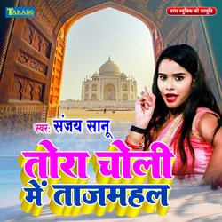 Tora Choli Main Taj Mahal-OQQDADBvUV8