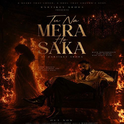 Tu Na Mera Ho Saka