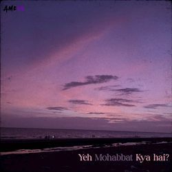 Yeh Mohabbat Kya Hai?