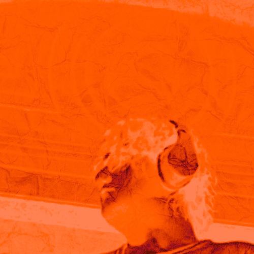 Jamie cover art