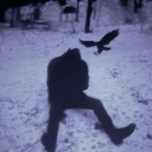 vanished
