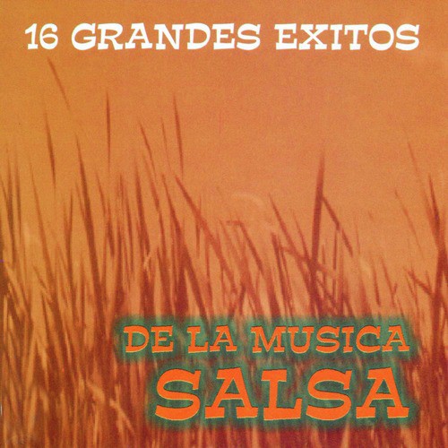 Salsa y Sabor cover art