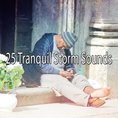 25 Tranquil Storm Sounds
