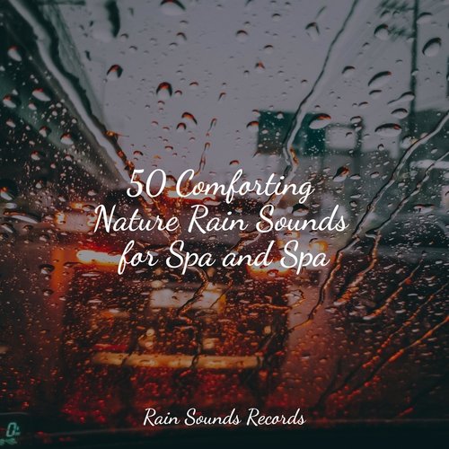 50 Comforting Nature Rain Sounds for Spa and Spa