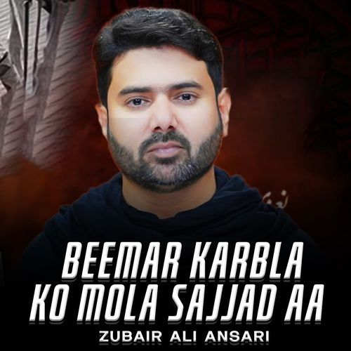 Beemar Karbla Ko Mola Sajjad Aa