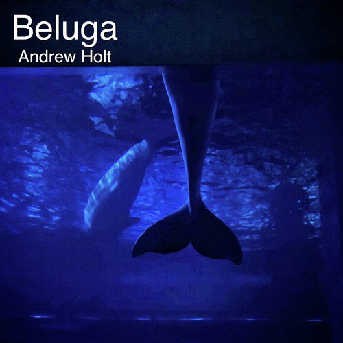 Beluga (Instrumental)