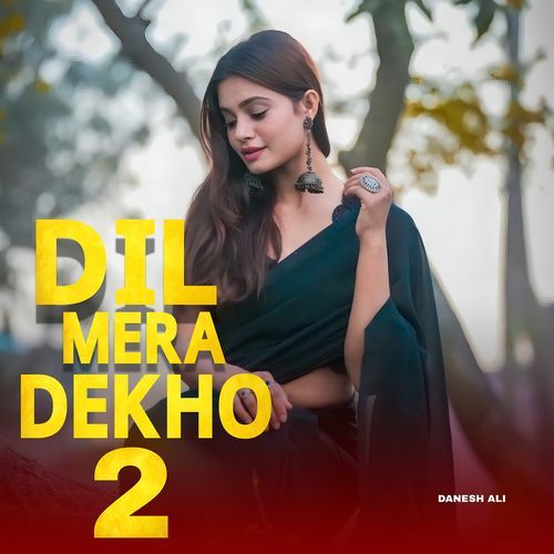 Dil Mera Dekho 2