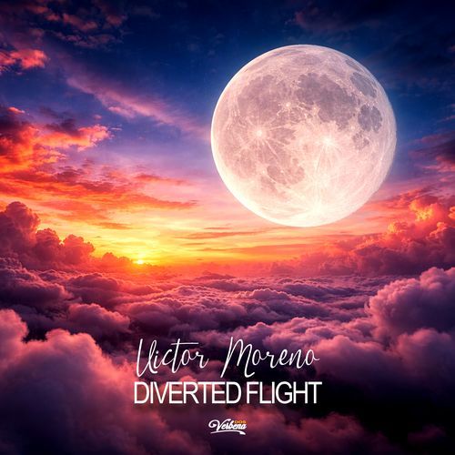 Diverted Flight