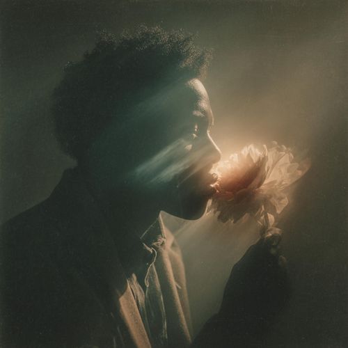No Notifications cover art