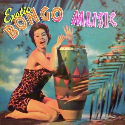 Exotic Bongo Music