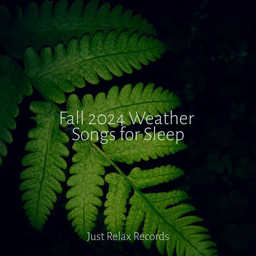 Fall 2024 Weather Songs for Sleep