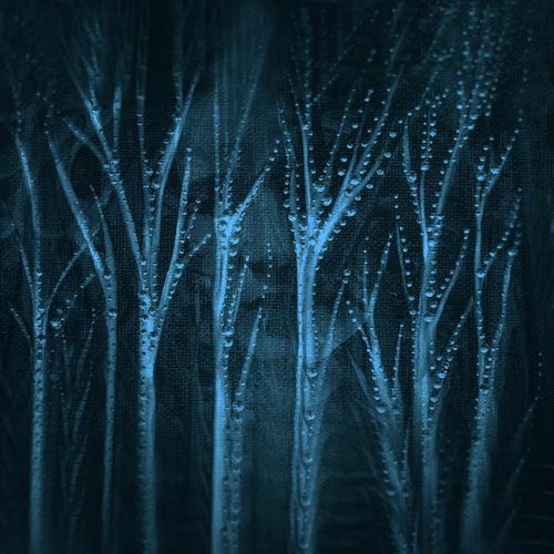 Forest Spirit