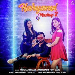 Haryanvi Mashup 2-FzwGdx1UAmw