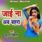 Jaai Na Ab Bahara