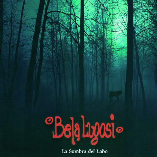 La Sombra del Lobo_poster_image