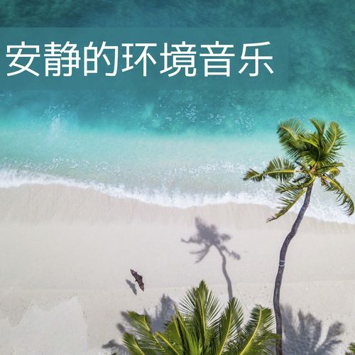 安静的环境音乐；安宁大自然音乐，和森林声音，冥想波声