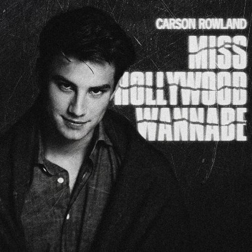 Miss Hollywood Wannabe_poster_image