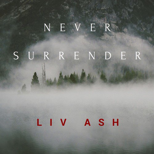 Never Surrender_poster_image