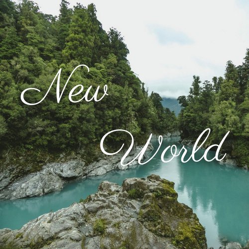 New World_poster_image