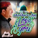 Sarkar Hamaray Hain artwork
