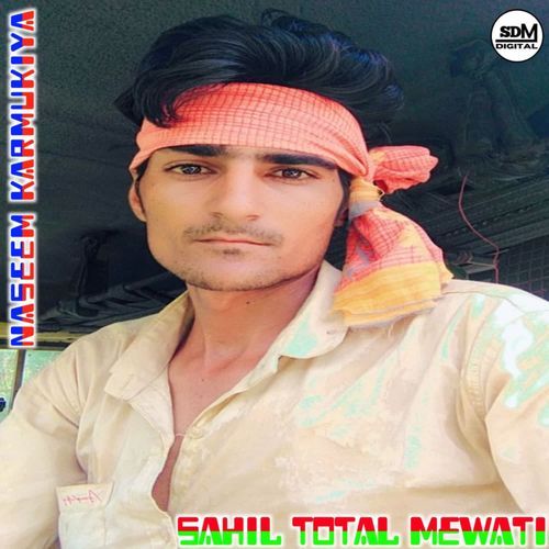 SAHIL TOTAL MEWATI cover art