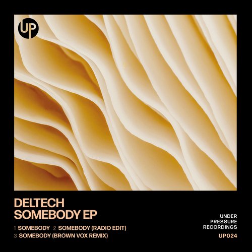 Somebody (Brown Vox Remix) cover art