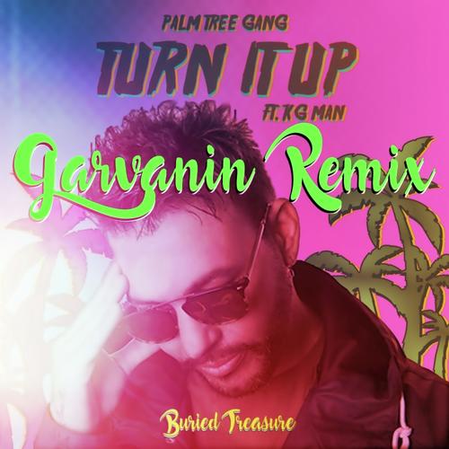 Turn It Up (Garvanin Remix)_poster_image