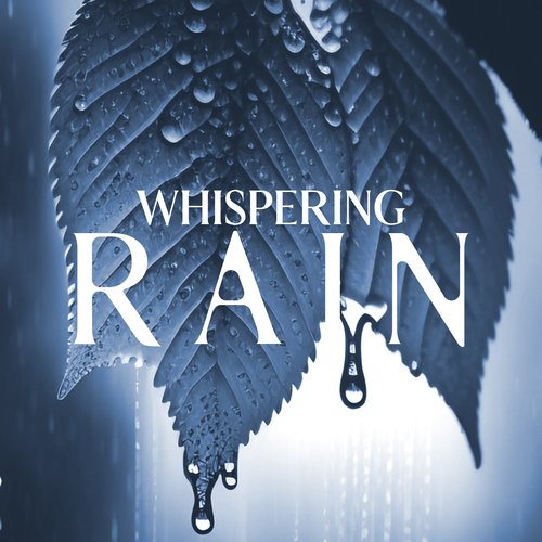 Whispering Rain: Soothing Nature for Sleep, Study, Relaxing Meditation_poster_image