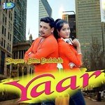 Yaar
