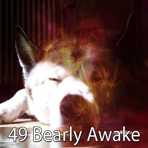 49 Bearly Awake