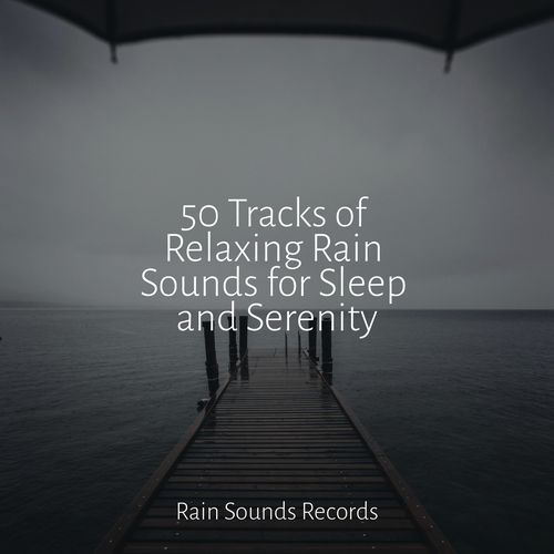 50 Tracks of Relaxing Rain Sounds for Sleep and Serenity