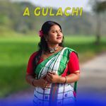 A Gulachi