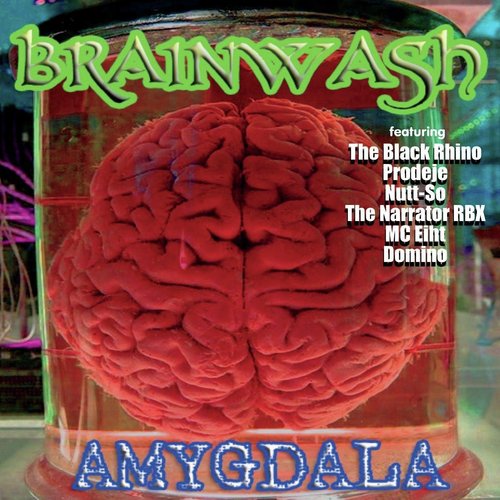 Amygdala