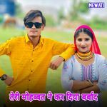 तेरी मोहब्बत ने कर दिया बर्बाद