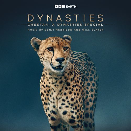 Cheetah: A Dynasties Special (Original Television Soundtrack)_poster_image