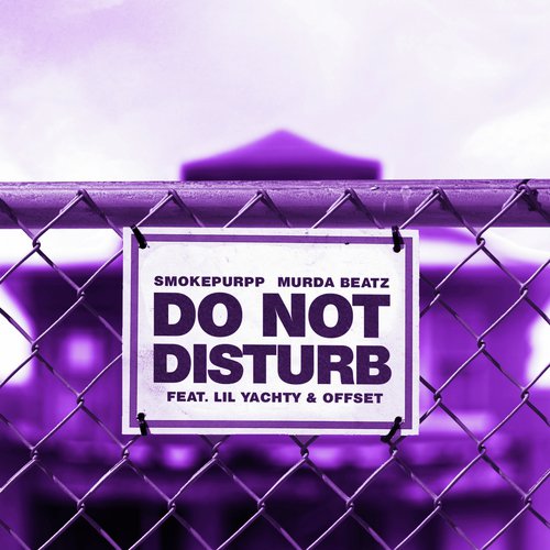 Do Not Disturb_poster_image