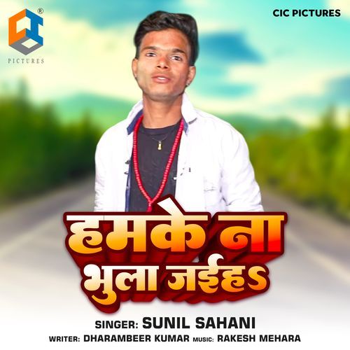 Humke Na Bhula Jaiha_poster_image