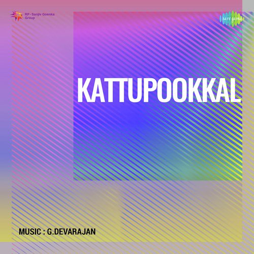 Kaattupookkal