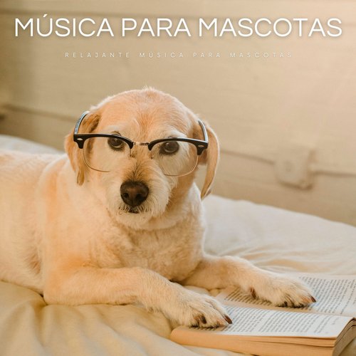 Música Para Perros cover art
