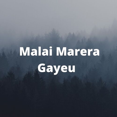 Malai Marera Gayeu