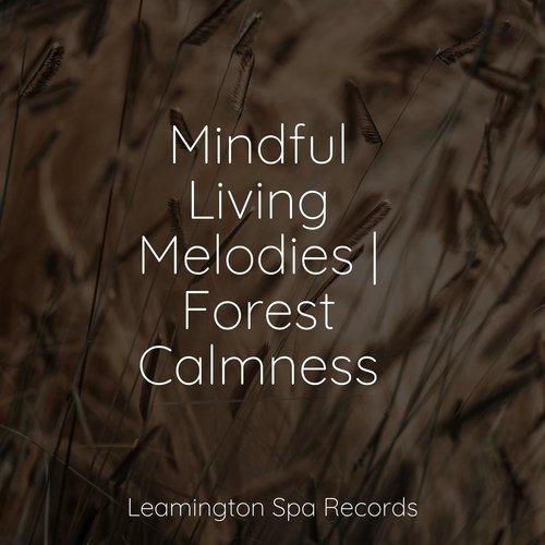 Mindful Living Melodies | Forest Calmness