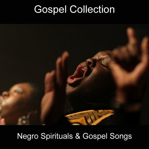Negro Spirituals & Gospel Songs (Gospel Collection)