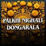 Palkhi Nighali Dongarala