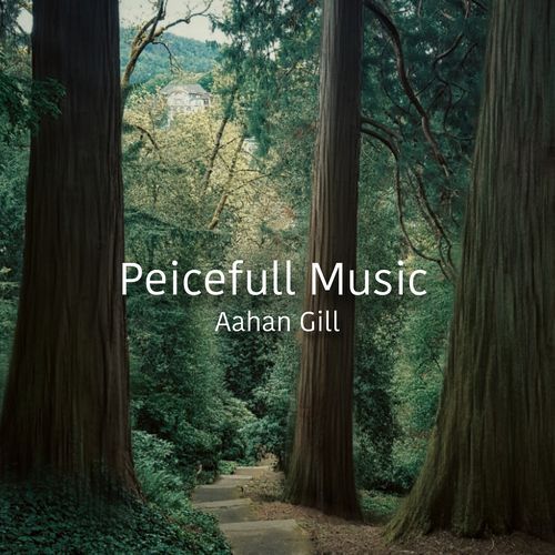 Peicefull Music