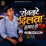 Rowatate Dilwa Hamar Ho