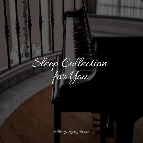 Sleep Collection for You